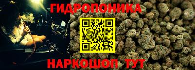 прущие крисы Обь