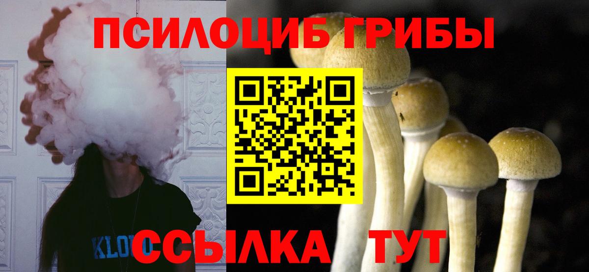 Галлюциногенные грибы Magic Shrooms Курск