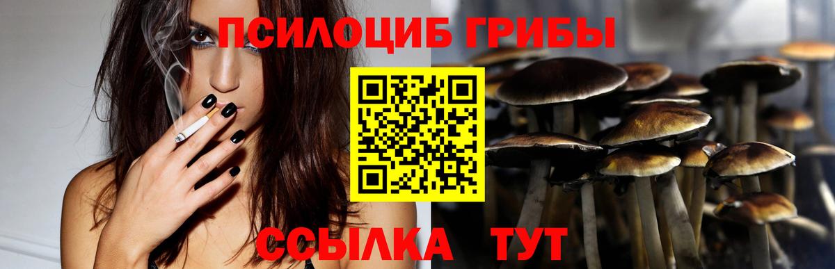 Курск  Псилоцибиновые грибы MAGIC MUSHROOMS  Псилоцибиновые грибы GOLDEN TEACHER  Вход с VPN 